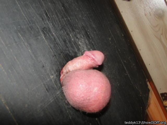 Testicles Photo from teddyk13