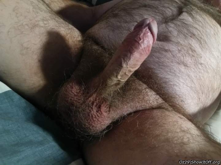 Photo of a python from Oz29