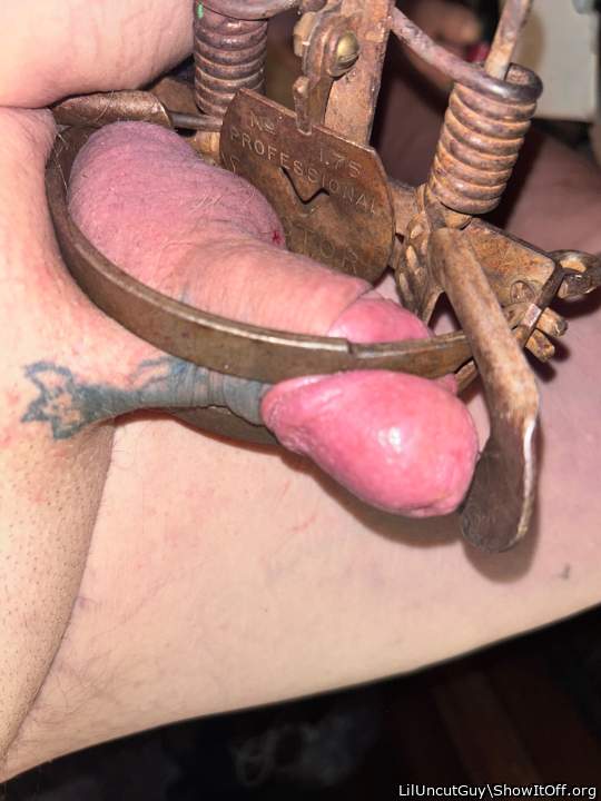 Still trying to figure out how to set a trap ☹️