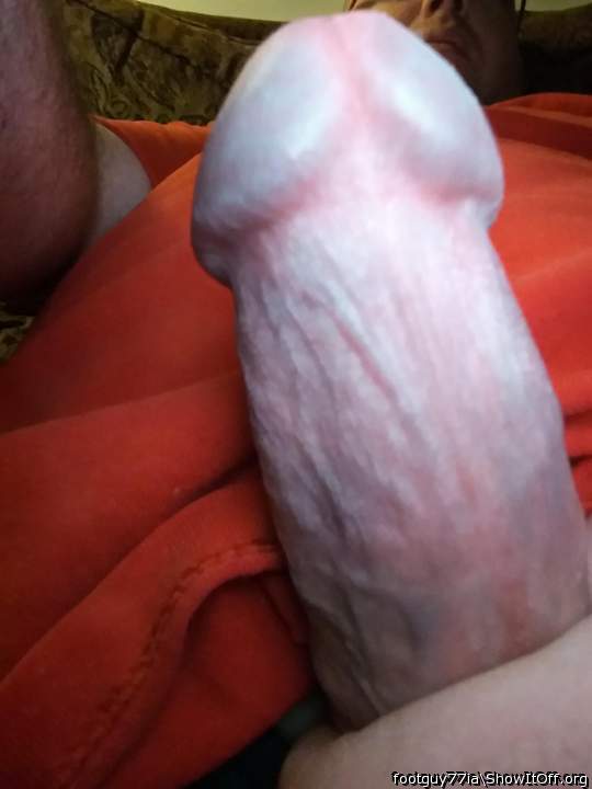 Photo of a weasel from footguy77ia