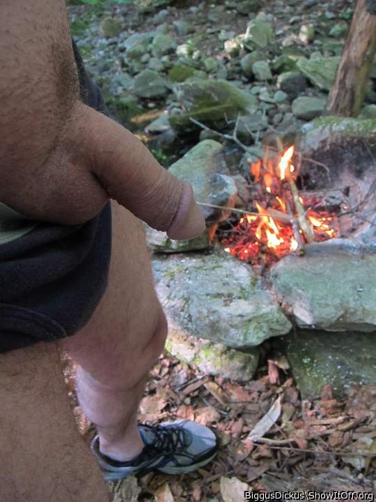 Fireside Cock