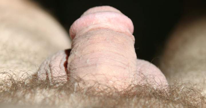 Photo of a joystick from lilsoftee