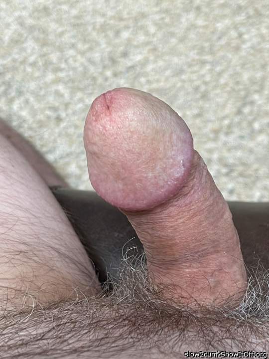 Photo of a pecker from slow2cum
