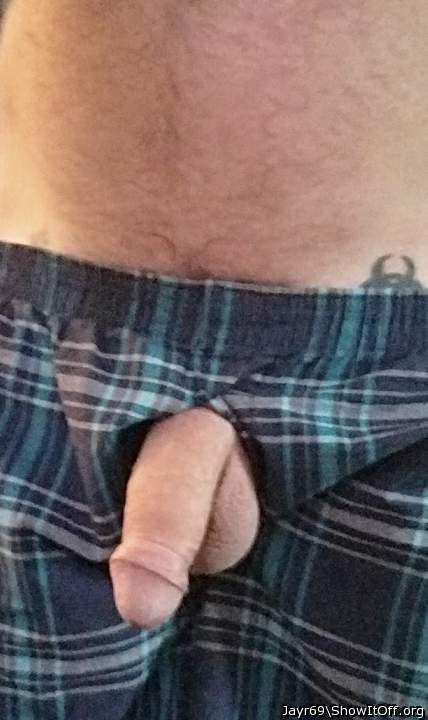 Photo of a middle leg from JayR69