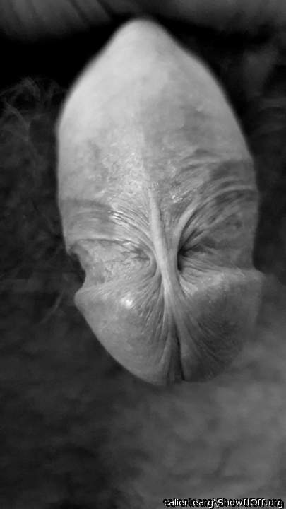 amazing frenulum!   
