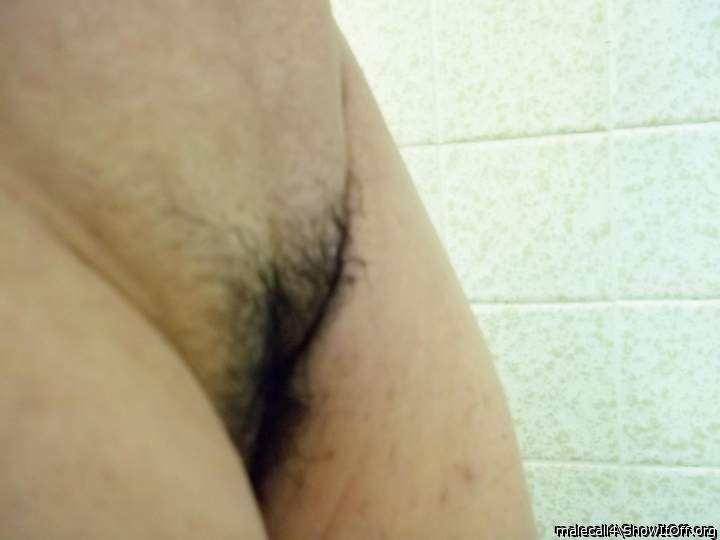 image of my puss