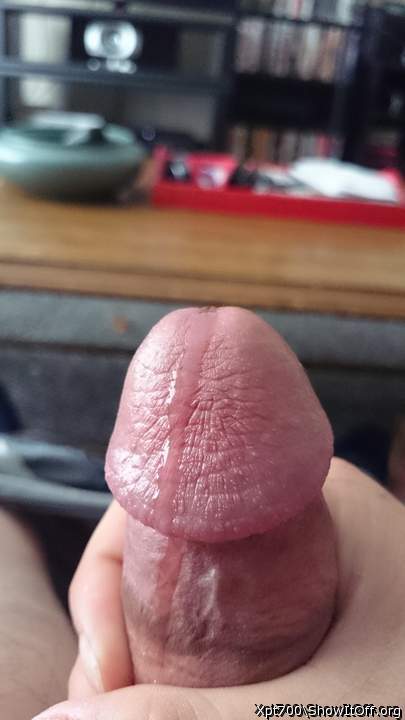 Photo of a short leg from Drippythemushroom