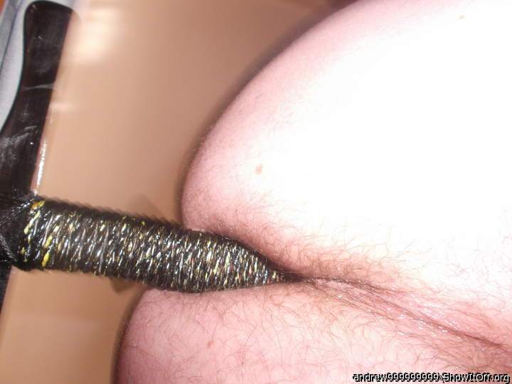 Photo of a weasel from andrew999999999