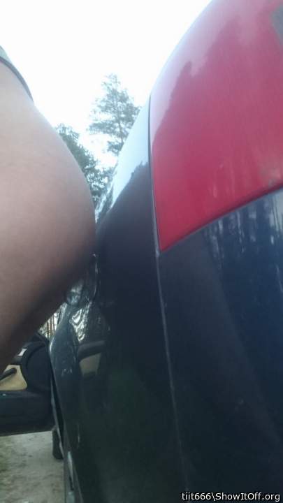 Photo of a cock from tiit666