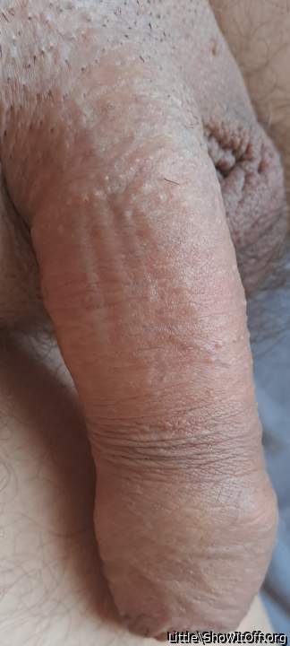 Photo of a third leg from Little