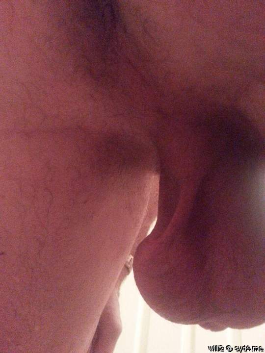 Photo of Man's Ass from WILLI2