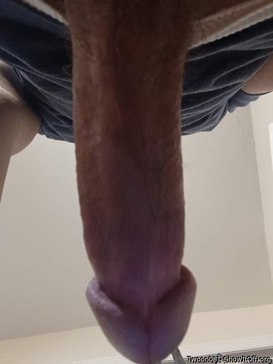 Photo of a python from Twoon081