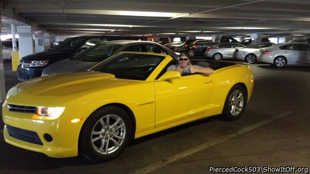 Photo of a private part from PiercedCock503