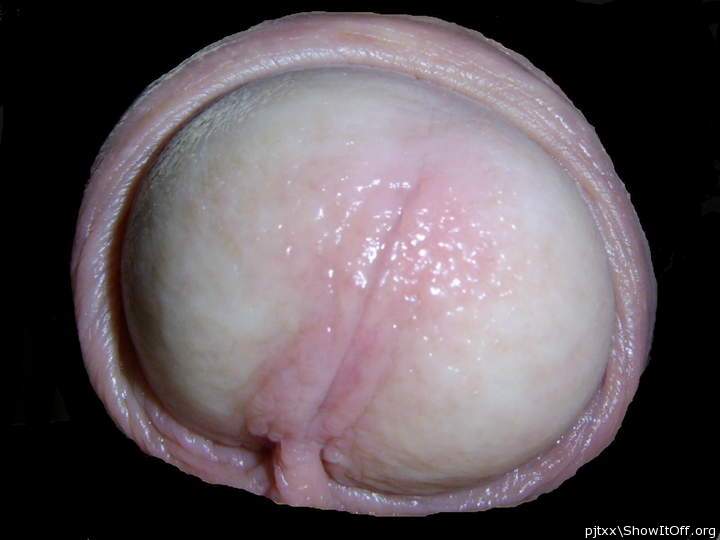 Photo of a hot dog from pjtxx