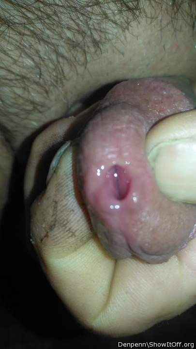 Photo of a stiffie from Denpenn