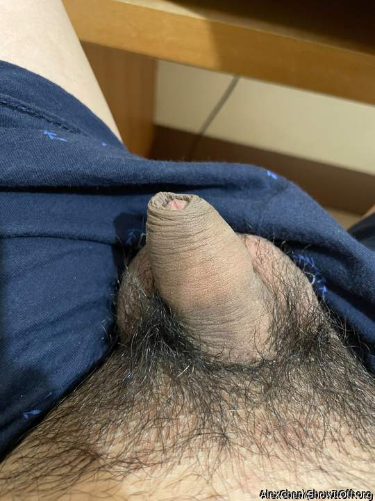 Photo of a snake from AlexChen