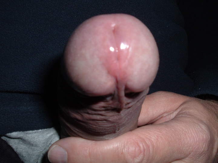 Adult image from willsparx