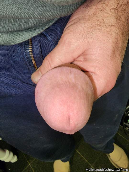 Photo of a bat from Mylimastuff