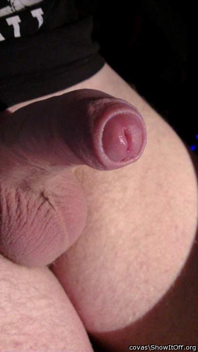 Der Schwanz will gemolken werden