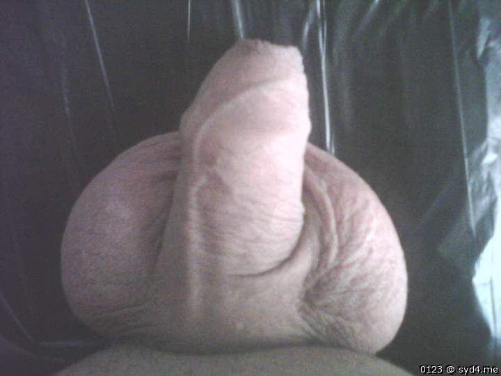 Photo of a rooster from 0123