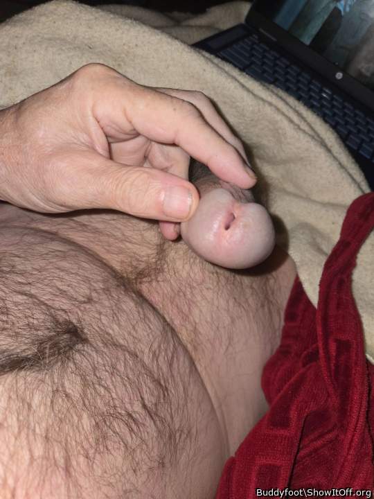 Photo of a schlong from Buddyfoot