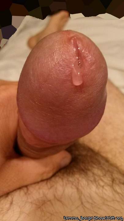 Ymmy precum ooze