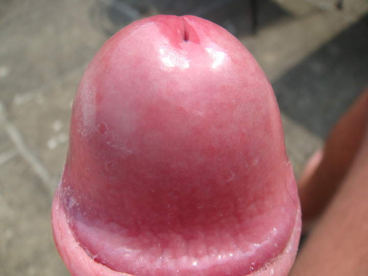 Photo of a wiener from sivad666
