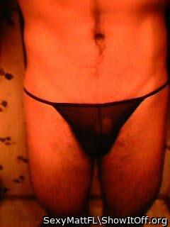 Photo of a cock from SexyMattFL