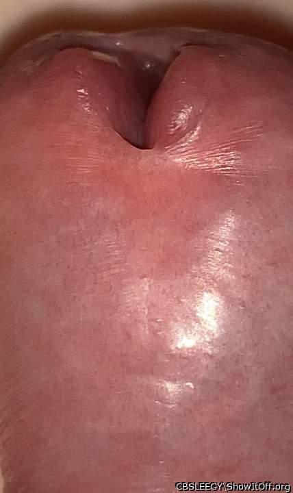 Photo of a python from CBSLEEGY