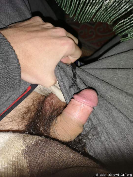 Photo of a dong from _Brada_