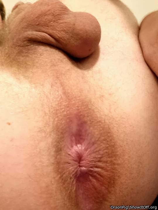 Photo of Man's Ass from OrsonPig