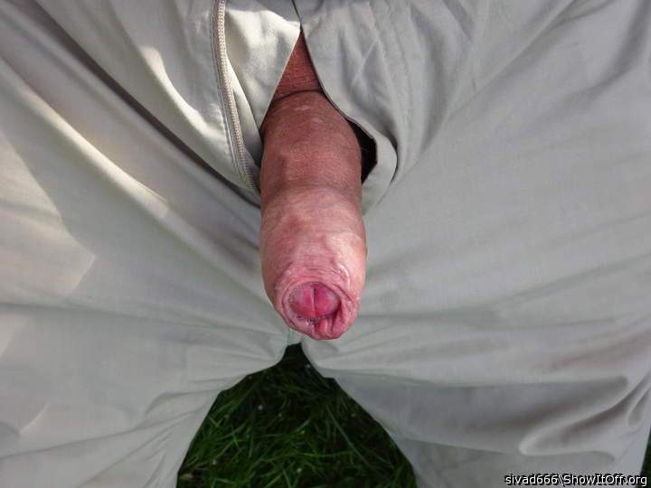 Photo of a bat from sivad666