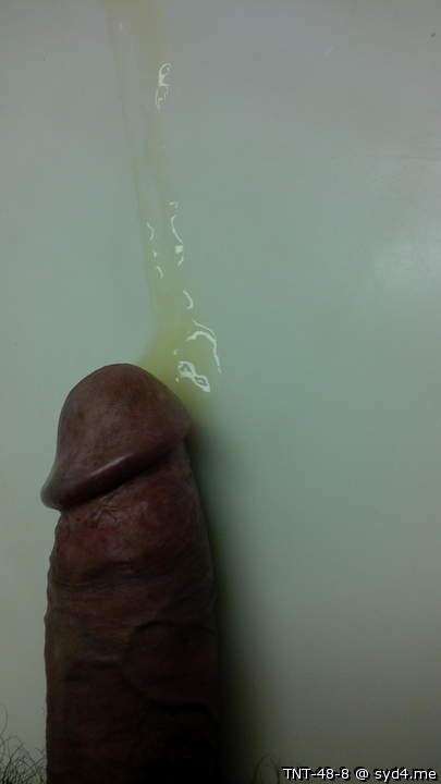 Photo of a sausage from TNT-48-8