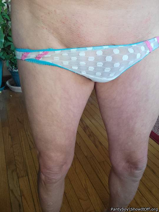 Photo of a boner from Pantyboy