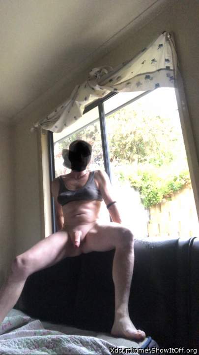 Photo of a rooster from Xdcuminme