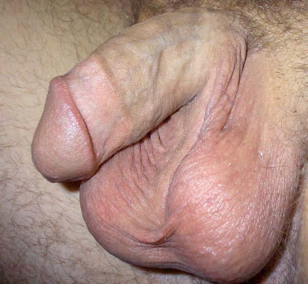 I just absolutely love how your circumcision gives you that 