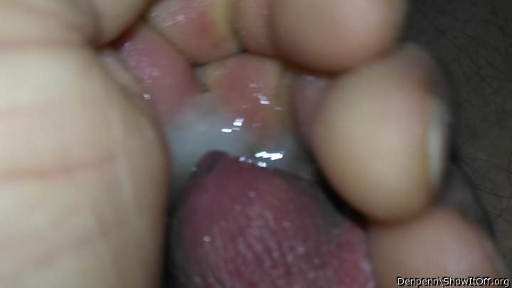 Adult image from Denpenn