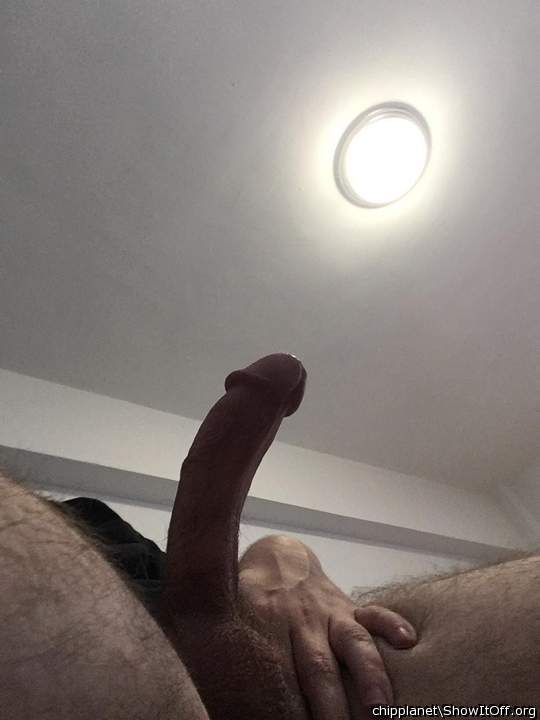 Photo of a boner from chipplanet
