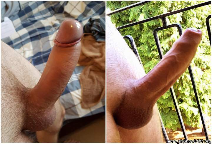 Beautiful uncut cock.