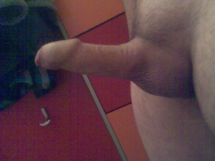 Photo of a python from nice_dong