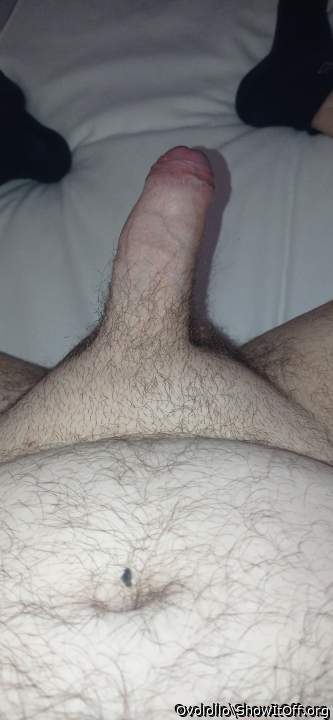 Photo of a pecker from Ovolollo