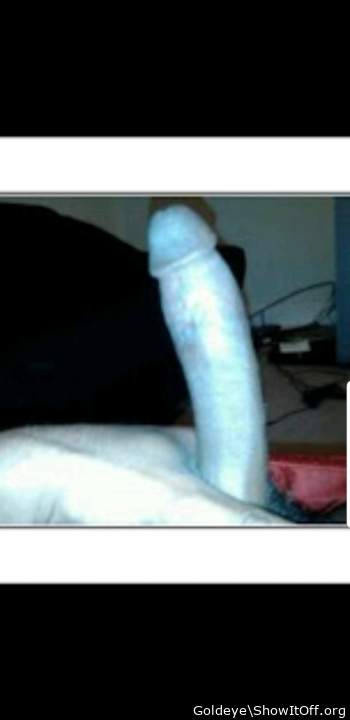 Photo of a dong from Goldeye