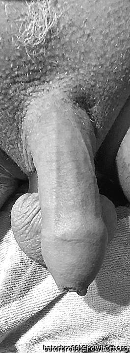 Photo of a bat from batorbro89