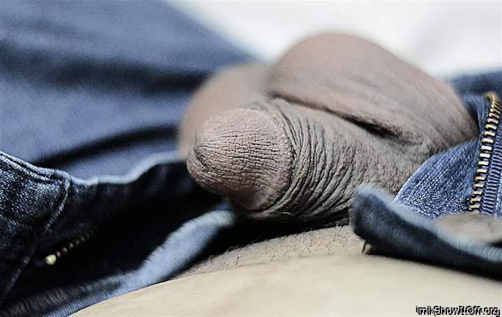 Photo of a cavalier from imi