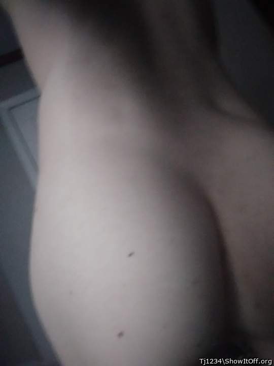 Photo of a snake from Tj1234