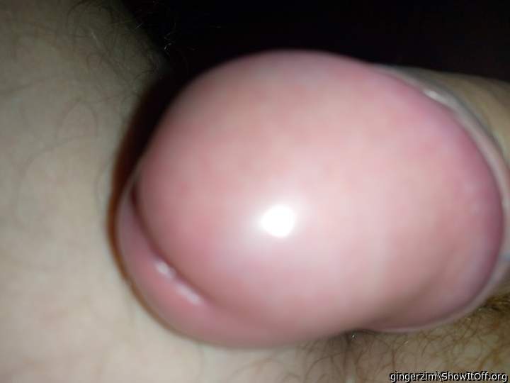 Photo of a weasel from gingerzim