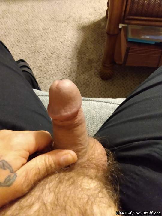 Photo of a third leg from Alf4269
