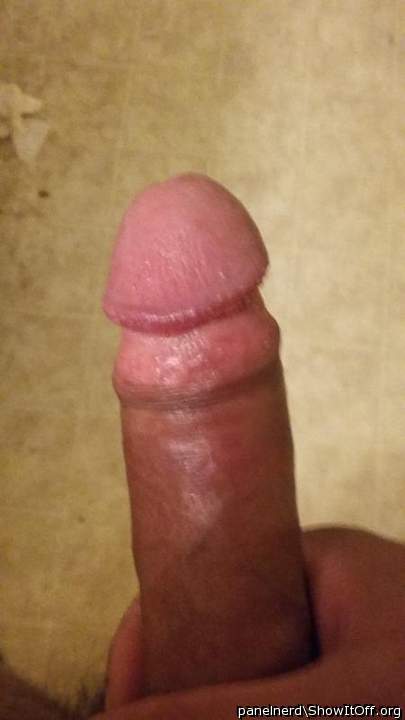Photo of a tool from panelnerd