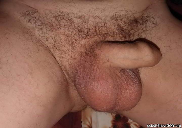 Testicles Photo from gebol