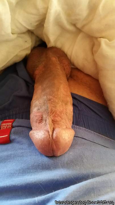 Photo of a schlong from schrodingersdog